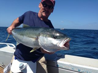 Kingfish