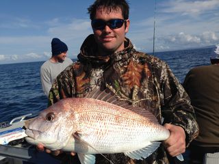 Snapper